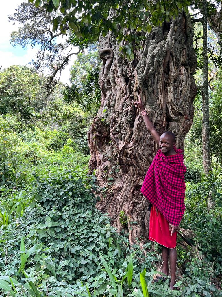 Travel Maasaï - Neloïta Camp - Cœur spirituel de la culture Maasaï